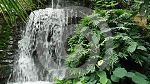 A waterfall is framed by lush tropical vegetation