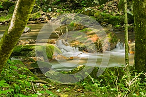 An Waterfall Framed by Trees