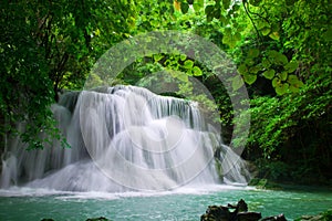 Waterfall in fresh green forest