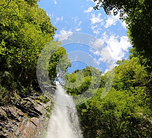 waterfall with fresh water gushing in the middle of the forest