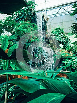 A waterfall in the garden