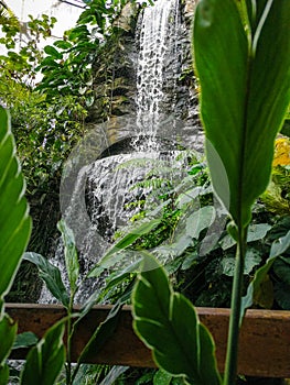 A waterfall in the garden