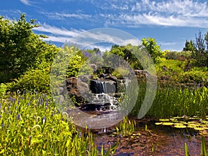 Waterfall in the garden