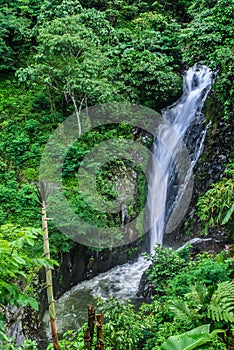 Waterfall Gigit in north Bali