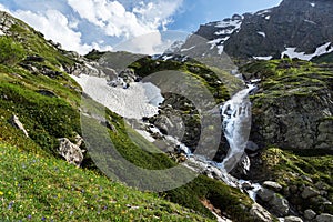 Waterfall and glacier in the mountains in summer, flowering meadow, contrast between snow and green grass