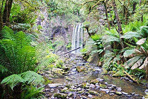 Waterfall in the Great Otway National Park in Victoria, Australia