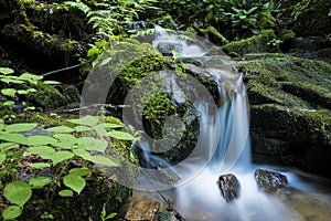 Waterfall in Great Smoky Mountains