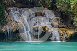 Waterfall in Green Forest