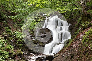 Waterfall in a green forest.