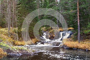 Waterfall green forest river stream landscape