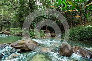 Bulgaria, Forest, River, Stream - Body of Water, Water