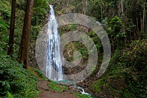 Waterfall, New Zealand, Forest, Rainforest, Stream - Body of Water