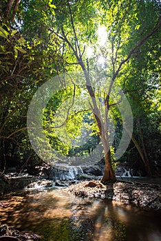 Waterfall green forest river stream landscape ,Waterfall hidden in the tropical jungle at National Park,Thailand