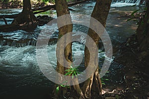 Waterfall green forest river stream landscape,Waterfall hidden in the tropical jungle at National Park,Thailand