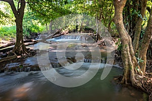 Waterfall green forest river stream landscape ,Waterfall hidden in the tropical jungle at National Park,Thailand