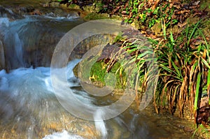 Waterfall and green grass, Sochi, Russia photo