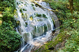 Waterfall in green jungle