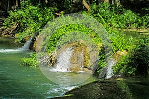 Waterfall in green jungle tropical forest