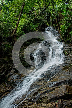 Waterfall in green jungle tropical forest