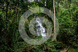 Waterfall in green jungle tropical forest