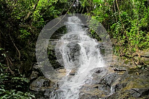 Waterfall in green jungle tropical forest