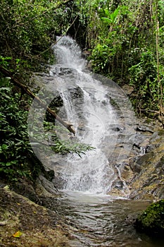 Waterfall in green jungle tropical forest