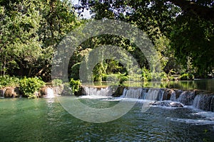 Waterfall in green jungle tropical forest