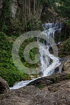 Waterfall in green jungle tropical forest