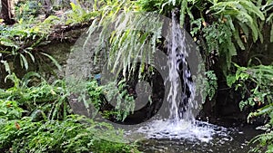 Waterfall and green plants Botanical Park Malaga