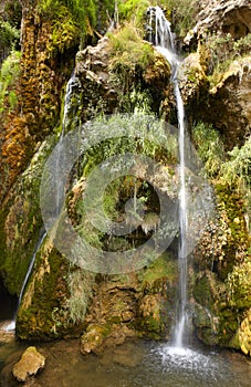 Waterfall with green plants and flowers in Spain