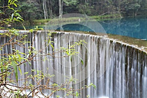 Waterfall with green trees