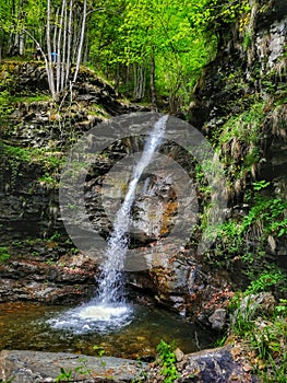 Waterfall green wildzone