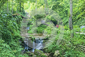 Waterfall group with green shrubbery