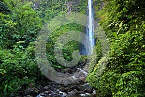 Waterfall in Guadeloupe - Chutes du Carbet