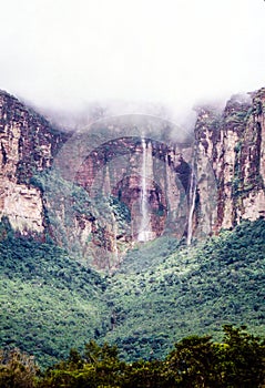 Clouded view of Angel Falls and Auyan-tepui taken early in the morning, Estado Bolivar, Venezuela photo