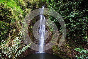 Waterfall on Hawaii