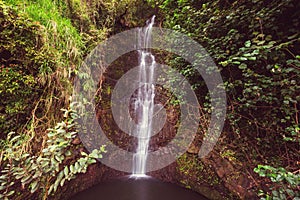 Waterfall on Hawaii