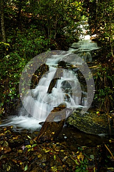 Waterfall after heavy rains flow down mountain in Pisgah Forest