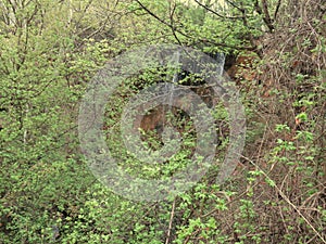 Waterfall hidden in the woods