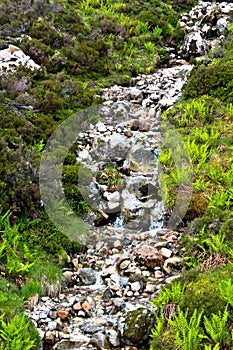 Waterfall in highland