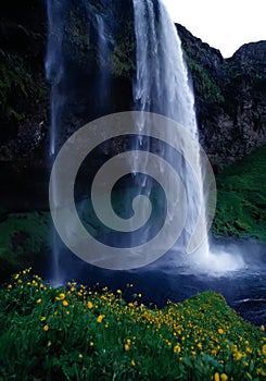 Waterfall Iceland