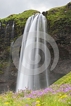 Waterfall in Iceland