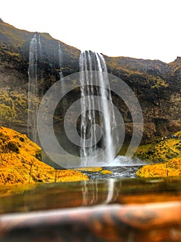 Waterfall, Iceland, flowers, holiday, trip