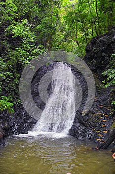Waterfall Jaco Costa Rica, Catarastas Valle Encantado - Hidden waterfall surrounded by green trees, vegetation, rocks, leaves floa