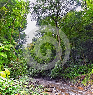 Waterfall Jaco Costa Rica, Trail views, Catarastas Valle Encantado - Hidden waterfall surrounded by green trees in the jungle. photo