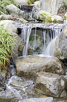 Waterfall in Japanese garden