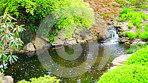 Waterfall in Japanese garden is part of botanic garden in Prague, Czech republic