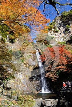 A Waterfall with Japanese maple.