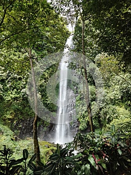 Waterfall in Jember, East Java