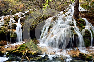 Waterfall in Jiuzhaigou,Sichuan China